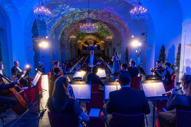 Vienna: Dinner & Concert at Schönbrunn Palace - 8:00 PM admission and 8:30 PM music