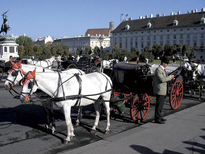 Vienna: Mozart Concert with Dinner and Carriage Ride - Is $443 good value?
