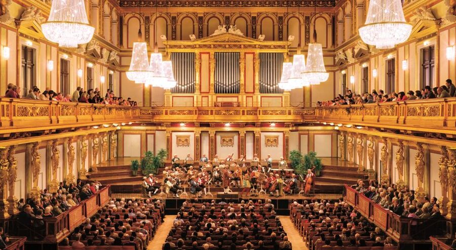 Vienna: Mozart Concert with Dinner and Carriage Ride - Who will enjoy this evening most