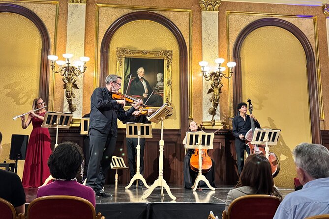 Vienna Private Classical Music Tour: Museum Entry & Concert - Strauss and the Blue Danube at the Theatermuseum