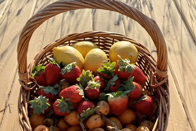 Vilamoura, Albufeira & Porches: Wine Tasting, Tapas & Music Tour - What the strongest feedback tells you