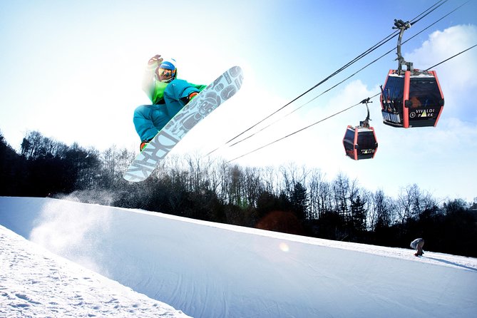 Vivaldi Park Winter Ski Resort with Nami Island Tour from Seoul - Why this day trip works from Seoul