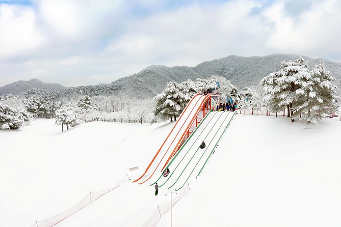 Vivaldi Park Winter Ski Resort with Nami Island Tour from Seoul - Nami Island after the slopes