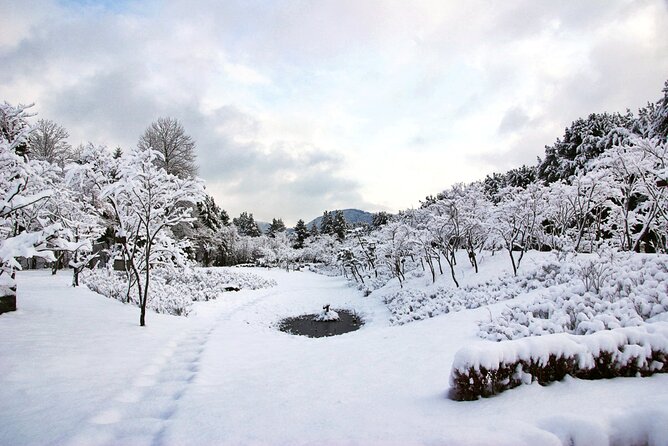 Vivaldi Park Winter Ski Resort with Nami Island Tour from Seoul - Timing, traffic, and the real pace of the day