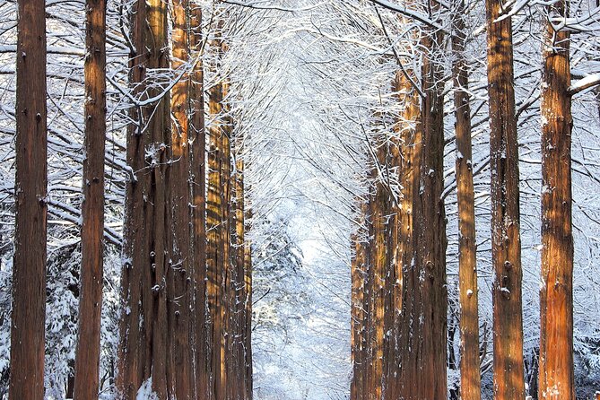 Vivaldi Park Winter Ski Resort with Nami Island Tour from Seoul - Booking, cancellation, and practical details