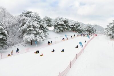 Vivaldi Park Winter Ski with Eobi Ice Valley Day Tour from Seoul