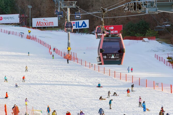 Vivaldi Park Winter Ski with Eobi Ice Valley Day Tour from Seoul - Choosing the right package
