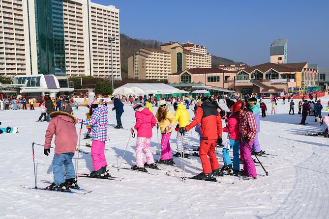 Vivaldi Park Winter Ski with Eobi Ice Valley Day Tour from Seoul - The human side of the tour