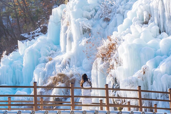 Vivaldi Park Winter Ski with Eobi Ice Valley Day Tour from Seoul - Who should book this day trip?