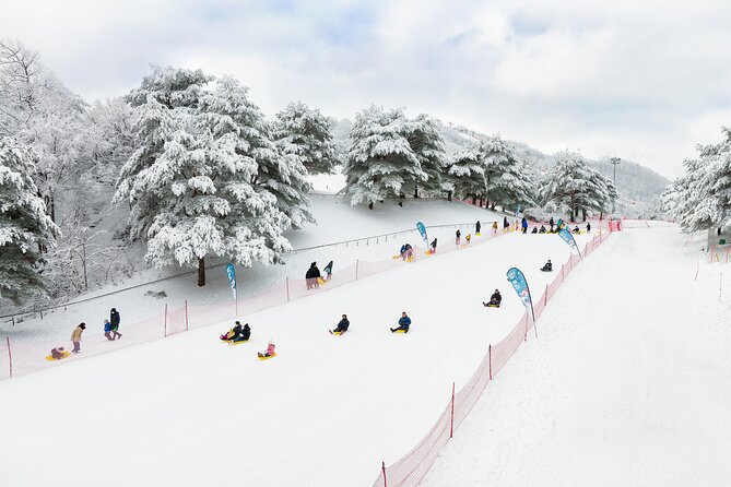 Vivaldi Park Winter Ski with Eobi Ice Valley Day Tour from Seoul - Eobi Ice Valley: a 40-minute stop for winter photographs