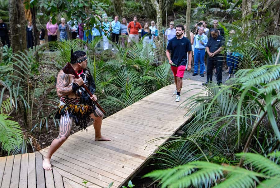 Waitangi: Treaty Grounds Hāngī and Concert Combo Pass - Why Waitangi makes this evening different